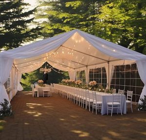 Wedding tent chair table resin capture culture party rentals