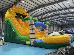 Sunshine Waterslide (2 lanes) (20-foot)