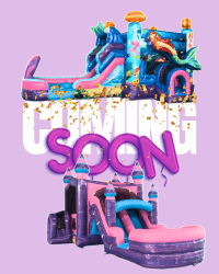 Cotton Candy Combo XL