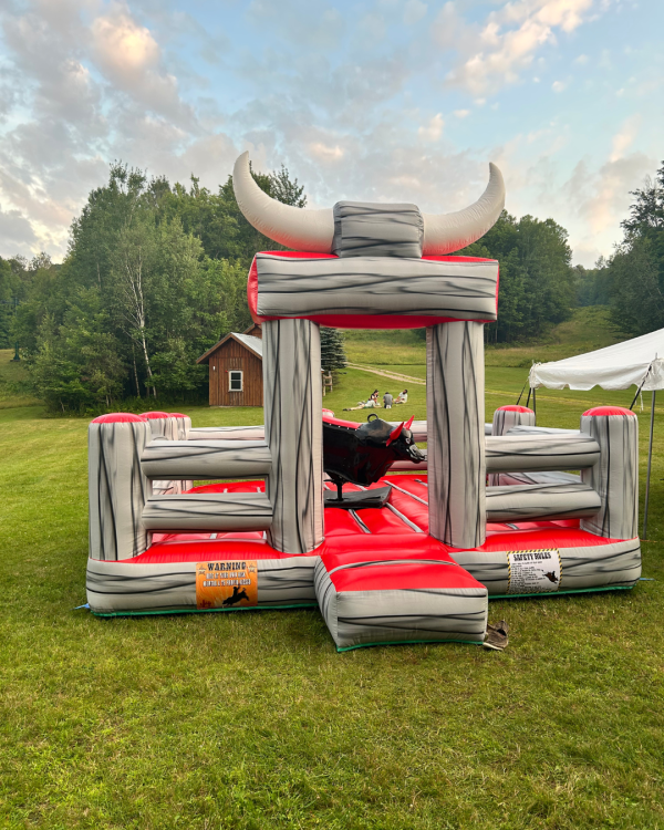 Mechanical Bull